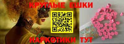 a pvp Гатчина